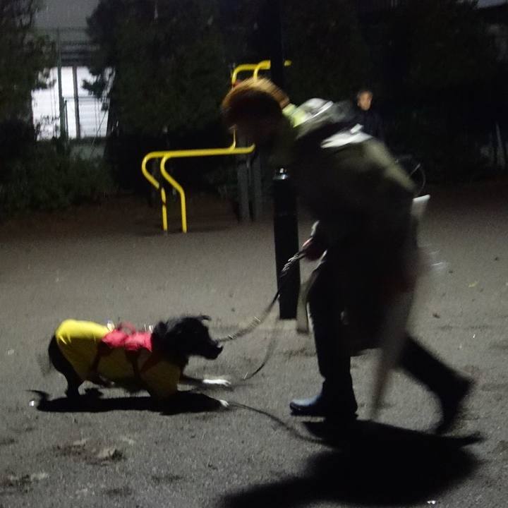 1dfda014 c6d2 494b 8a39 cc1bce626286 1615631815375