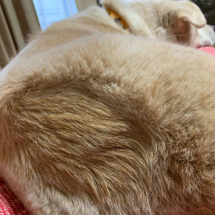 1dfdacae fe5b 47aa bd4a bcdc78a0d6ea 1660551079776