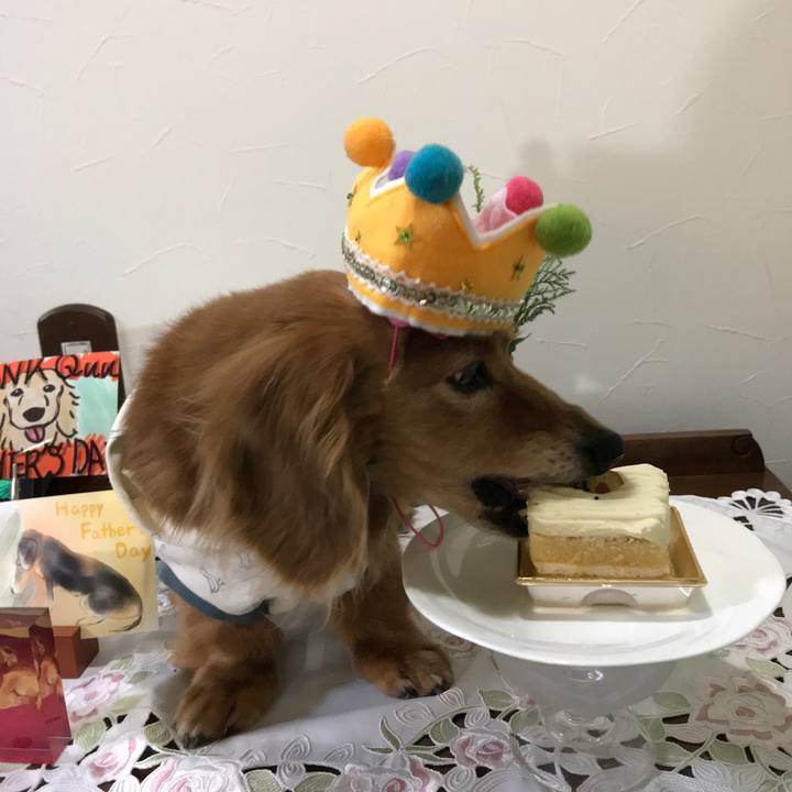 1dfdde29 80f8 404f a0a1 2420fa931330 1601294306972