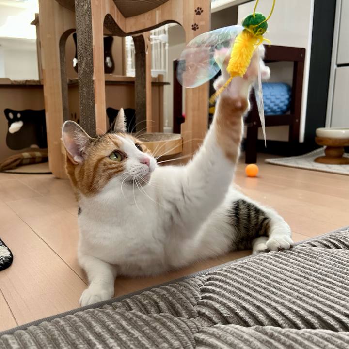 1dfdf0a1 7038 48b3 9990 8f6bc83a3409 1762921105457