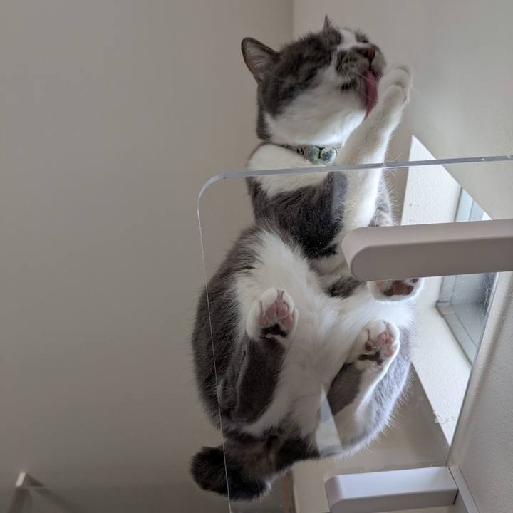 1dfe37e6 4a56 480a b83d 2093f245cdca 1744875799250