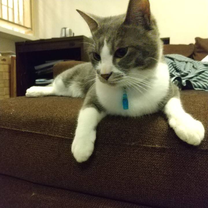 1dfe5778 58f8 4ff4 8f6f e2ea95409147 1622463086687