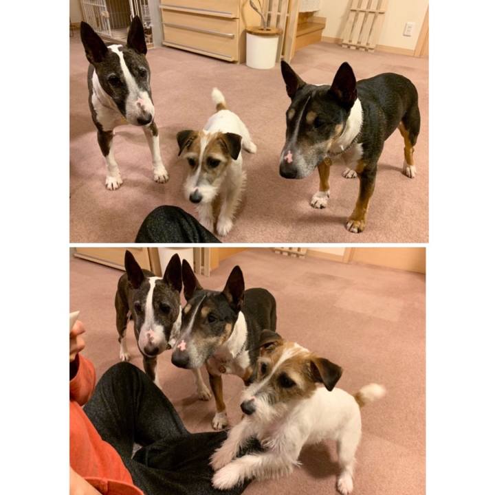 1dfea6f2 da51 4f22 a8d0 99151208a80e 1585224460594