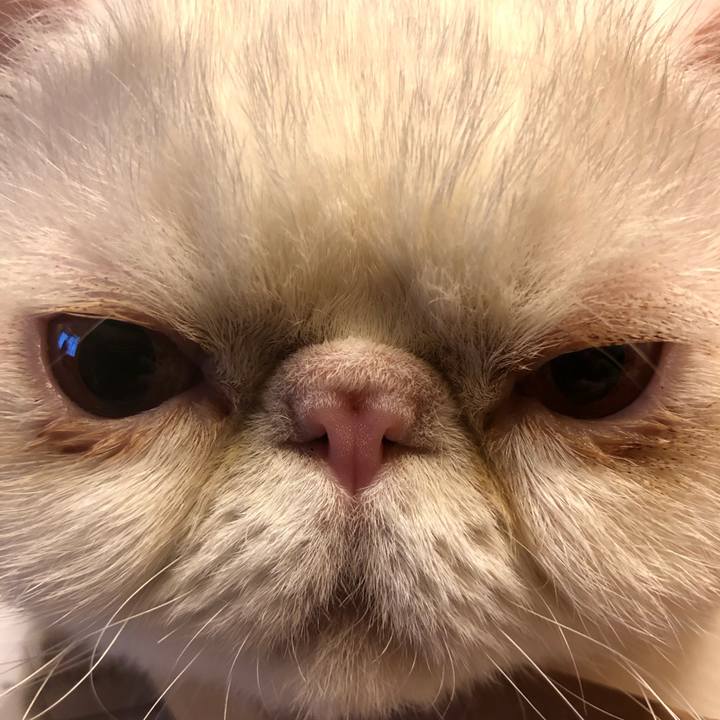 1dfece71 5507 4403 9b83 6a7eb5a16d6f 1607435020948