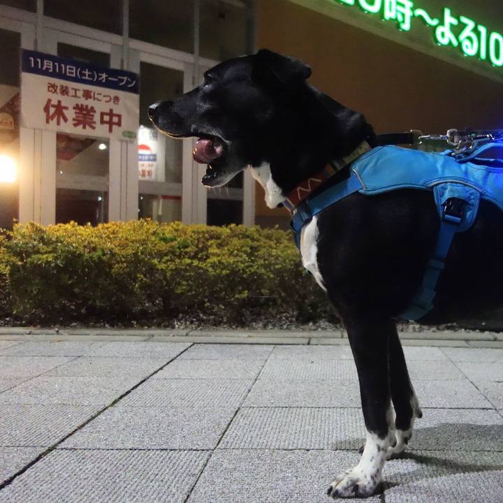 1dfee6e9 18ad 4a79 a8b8 a2ab859a816a 1699442373475