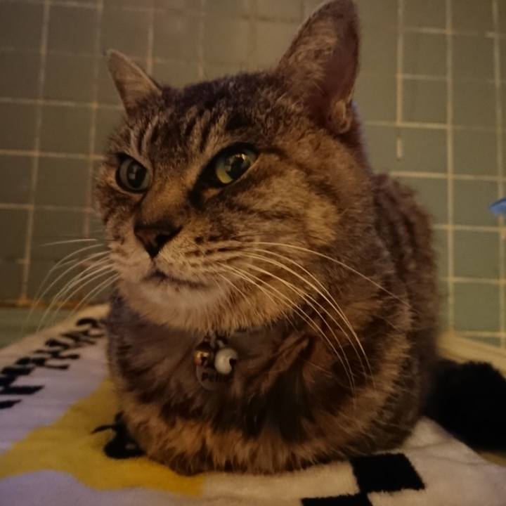 1dfef041 f435 4bc3 be25 47c44ebd3277 1577778593736