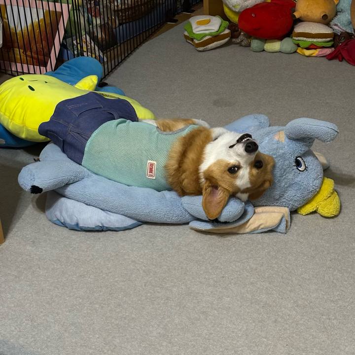 1dfef4d8 28af 460d a66a a3d3d82fd50a 1757853542655