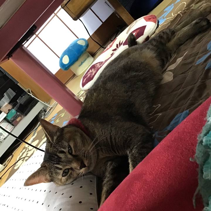 1dff0b7a 80ce 4b32 a7d6 f6b2302e7561 1601167712558