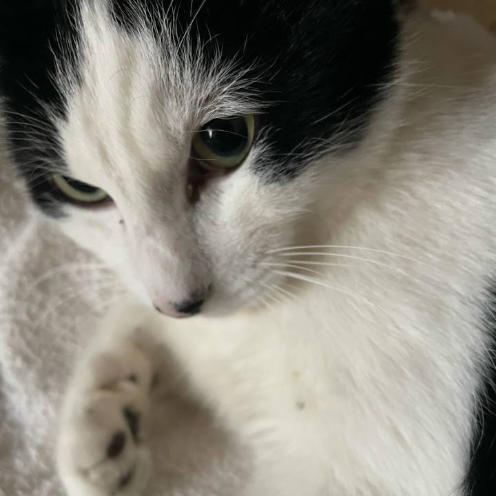 1dff4542 0a43 4bdd a6e4 61ed1d1cc3e0 1645255917535