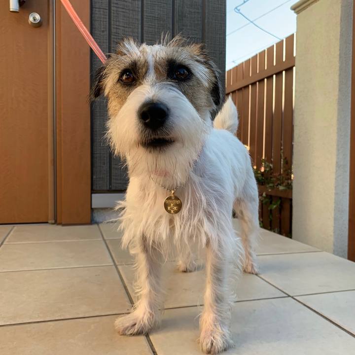 1dff50f8 bac6 4257 ae75 e1bb7957fc6b 1628149367420