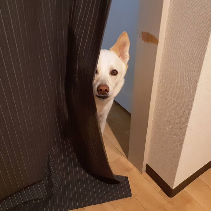 1dff6156 24e3 4a2e a783 2efc885e1b8e 1648029750183