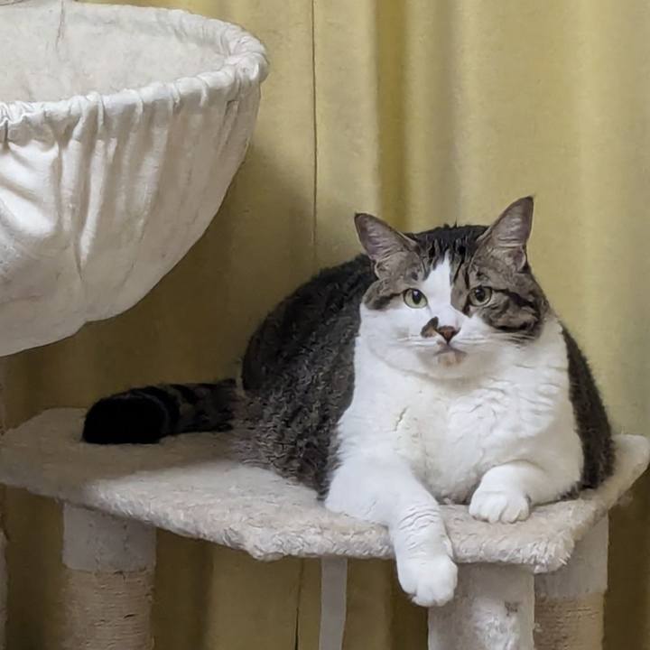 1dff6f91 5441 47fd 93ad f799e0add86e 1731842675491