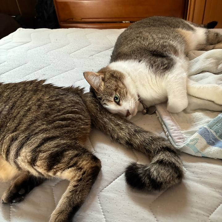 1dff79e0 1ba2 42f7 9158 05cf9fab30d1 1754451233578