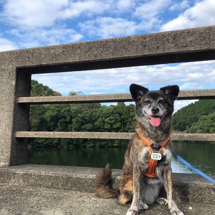 1dff82de 6cef 4603 809e 37b81f428c79 1663238516681