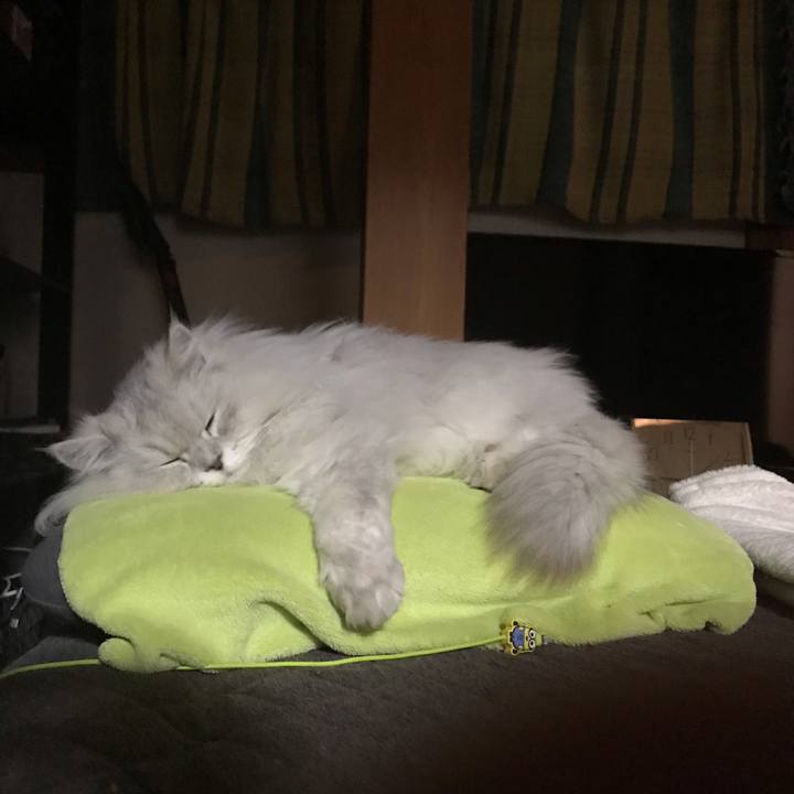 1dff92bf 1f07 448d a466 f0043c03a540 1557835859151