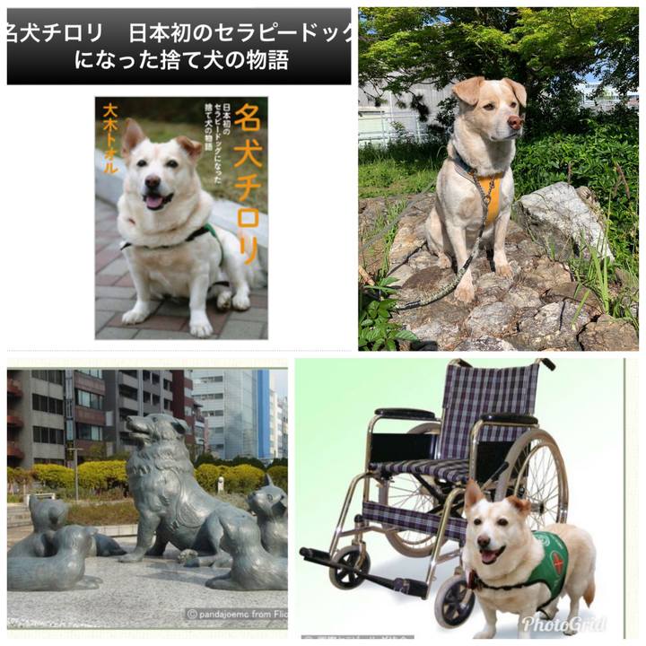 1dffd380 1e5a 452e 98ad 850985b0345c 1557469446677