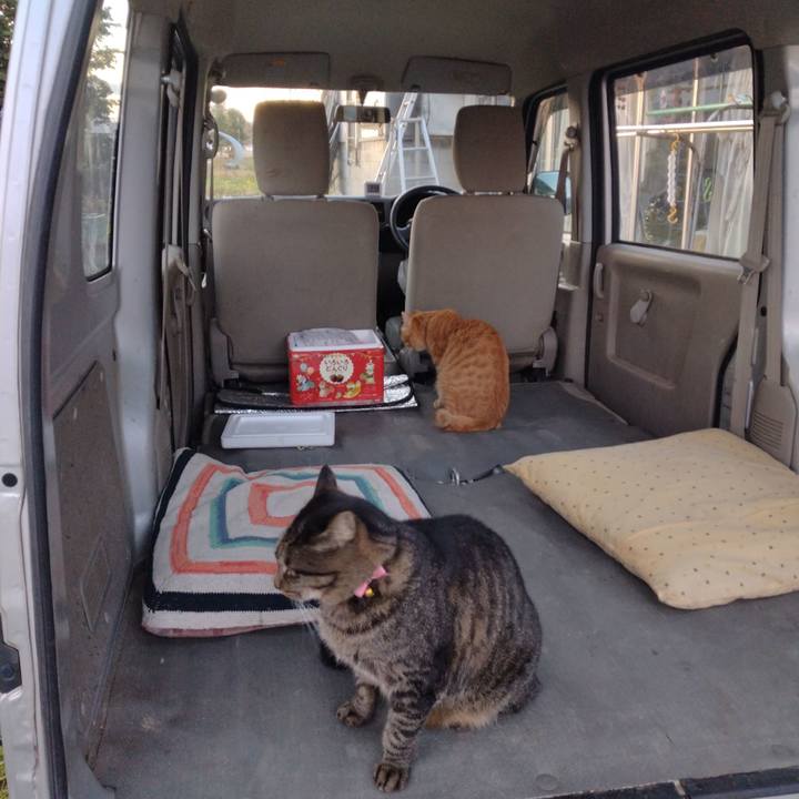 1dffe72d 7528 4cb8 a61a cd7aa220e47c 1668671834666