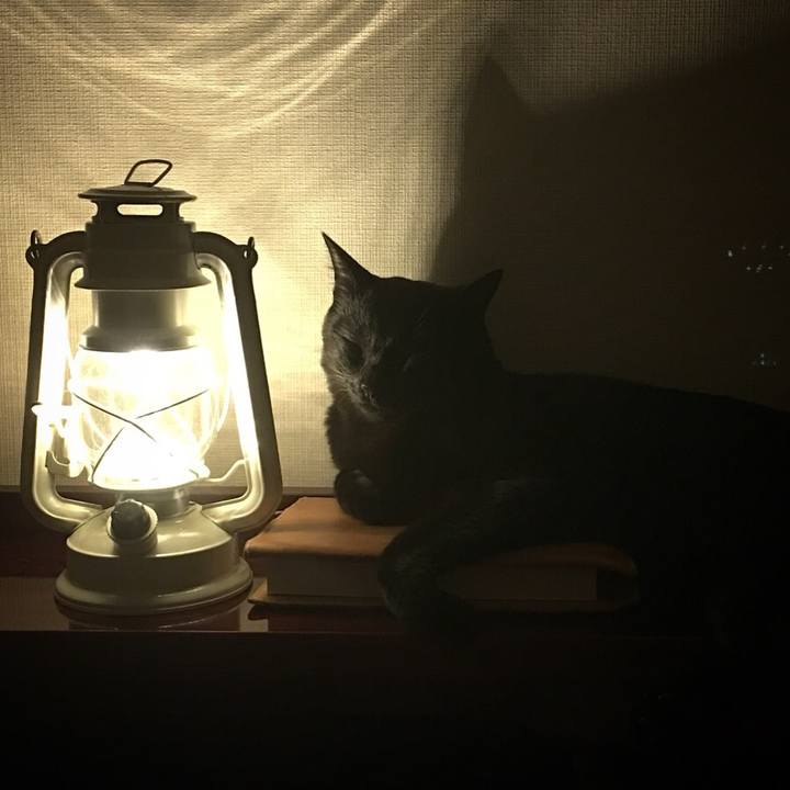 1e000126 a8c5 49a0 aff1 12dd90e2bc36 1533394110834