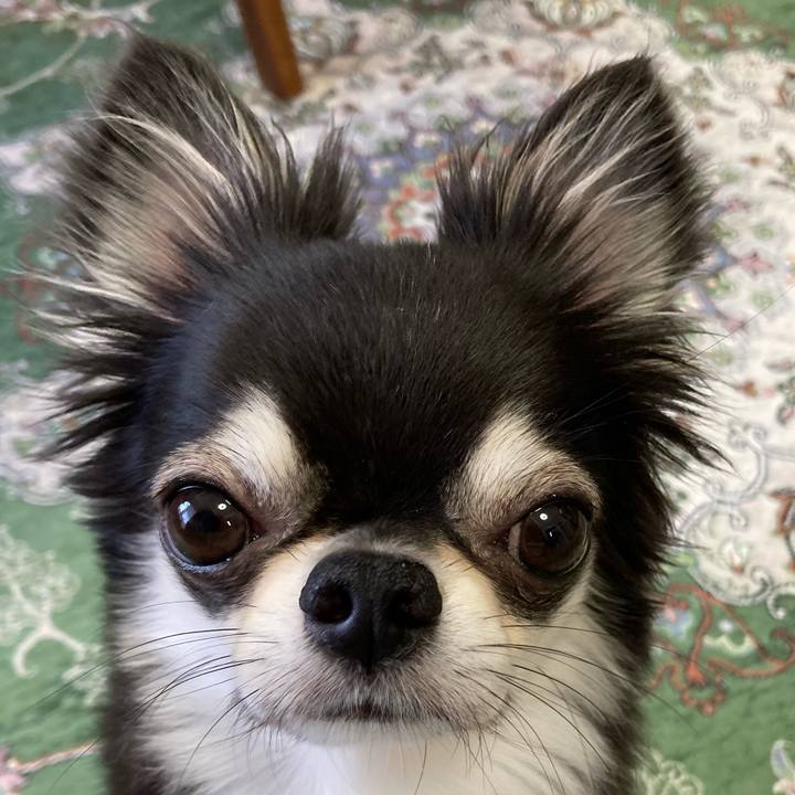 1e002968 cf9a 4617 9ff0 a4d59c6e8edf 1657319550287