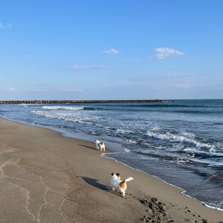 1e003292 33f1 40d6 b1a3 0412c931223e 1677632061990