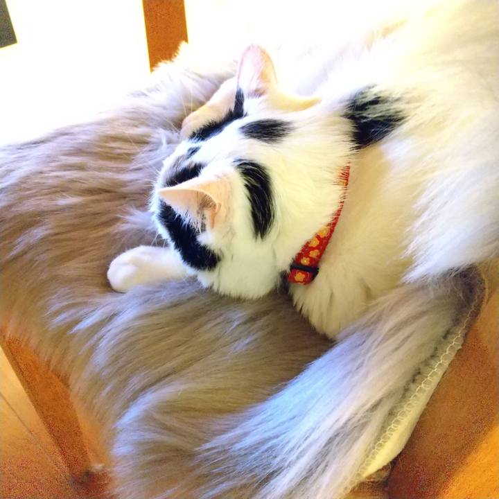 1e004765 a23c 457f af87 0f3a1fd4af13 1610449053812