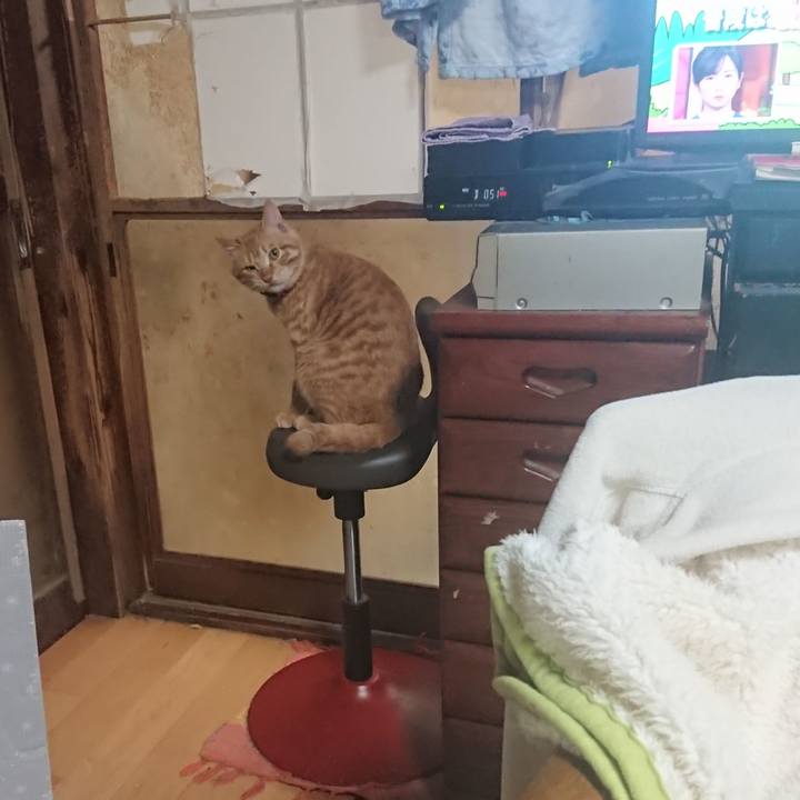 1e00549a 0953 45ff b738 a701f4f1bd04 1642250343247