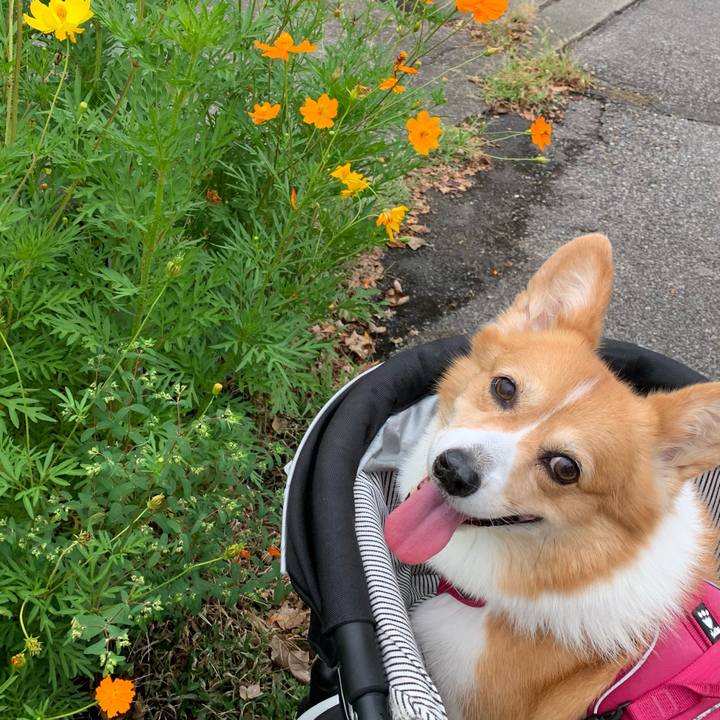 1e008fb6 d4d5 4c5e b913 4e26a711a437 1693792611765