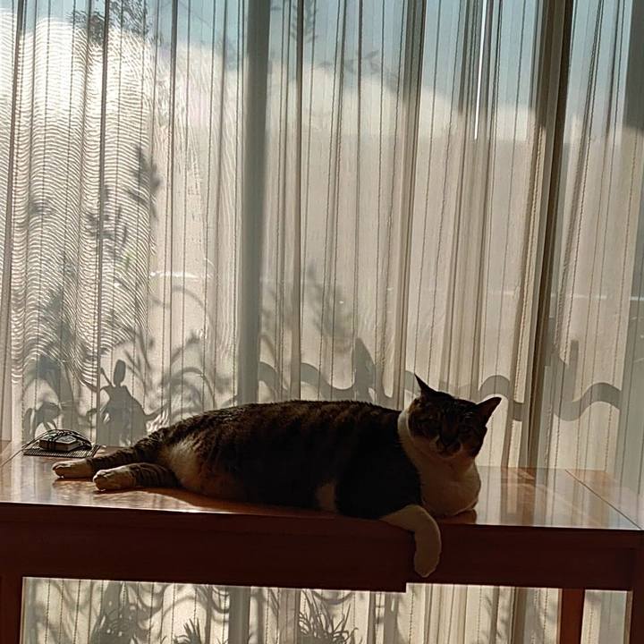 1e00a442 4355 46f4 a9d4 f7ce0461f74d 1586386353239