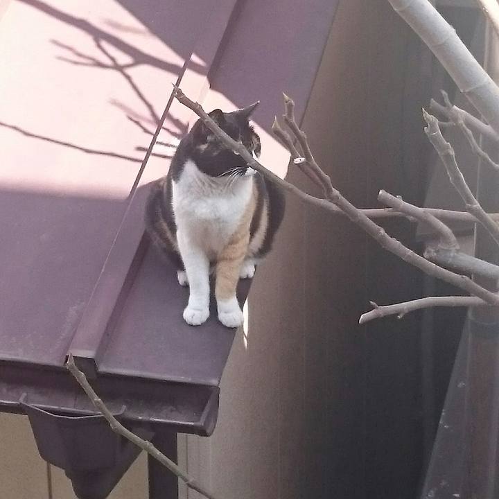 1e00aa8e d479 4ca5 a255 ac7eb7cadc93 1520131494216