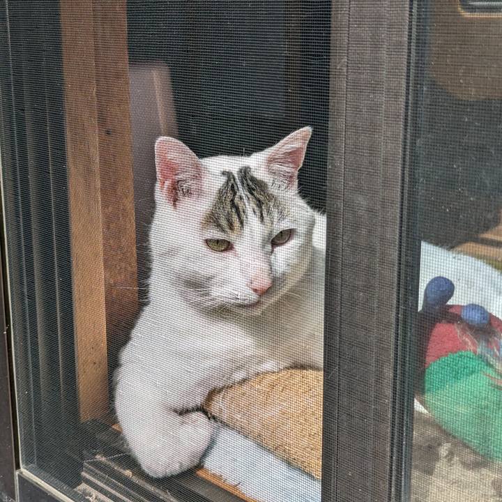 1e00b1d5 a953 438e 99a0 54fa7382925e 1680067479685