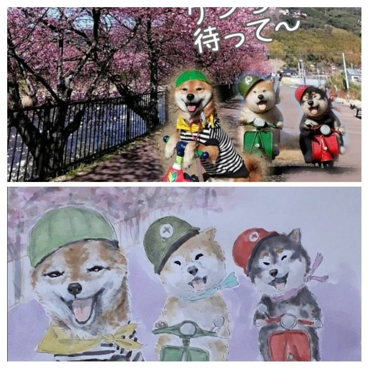 1e00b5f1 1139 4625 86d1 ca6ccb98adeb 1584284559033