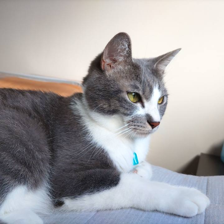 1e00e522 c5dd 41a9 a4d8 82f913a0bad0 1660345607179