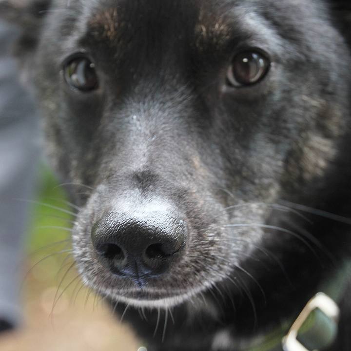 1e00f76a fe51 497a afec c69dcc9d2a7c 1531523687630