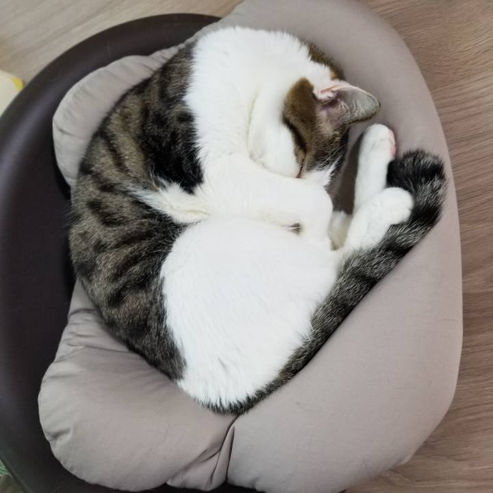 1e010c3c a8db 4958 b450 89e17681a7a8 1618781787326