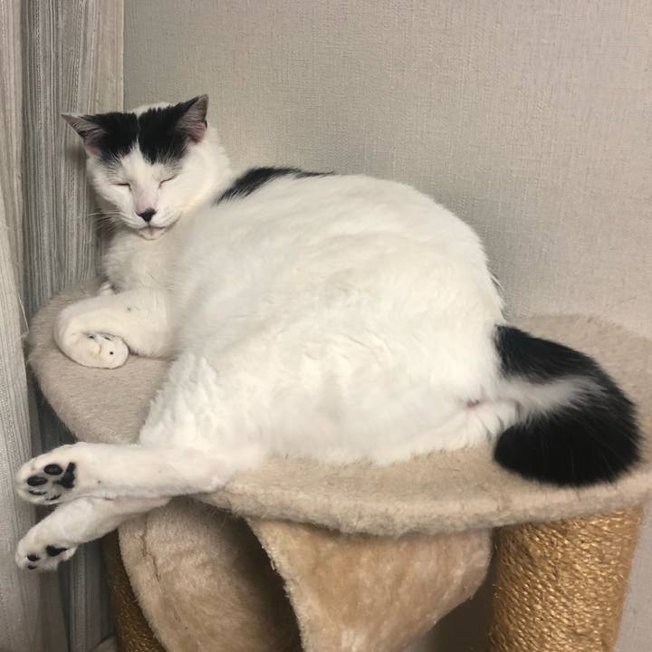 1e0123b7 abe8 468e a26b 525f63313b42 1574688219042