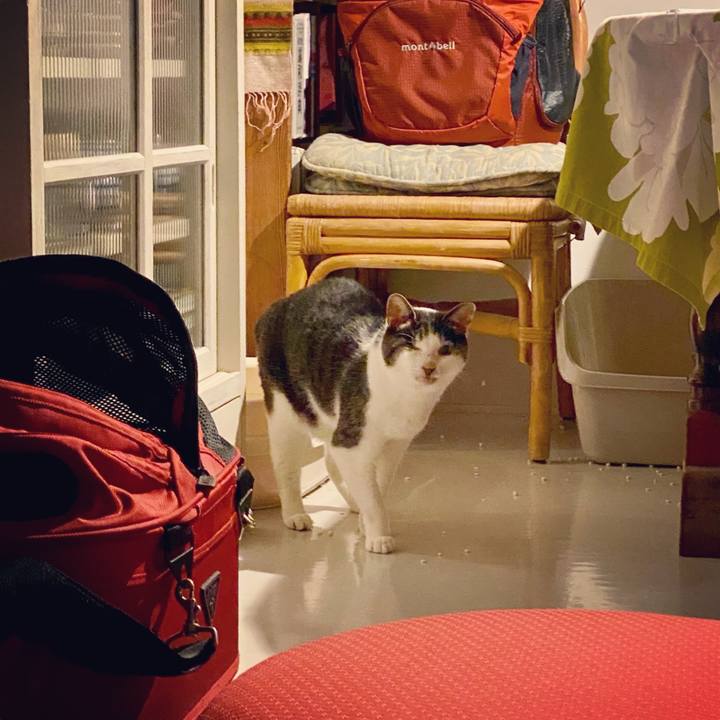 1e012edc 22cb 4fa7 9620 785e9f758fcf 1616164718489