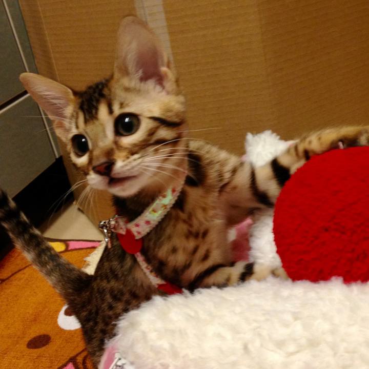 1e014a16 17dc 48eb 80c0 af92ffaf3753 1655169106359