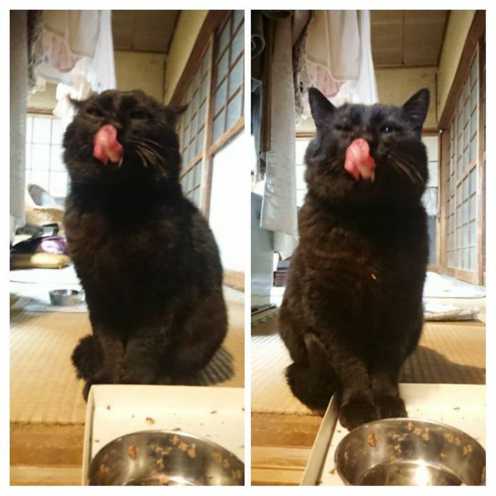 1e0163ff 856e 4c46 86a1 cd8cb08bbde3 1618139123864