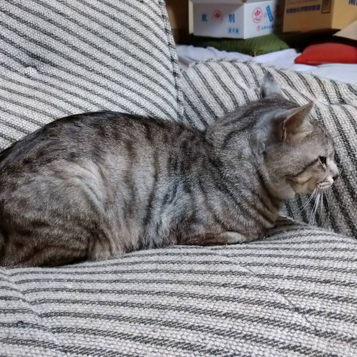 1e0181eb fc69 404c 888c 2660f9e1aaa3 1597927437064