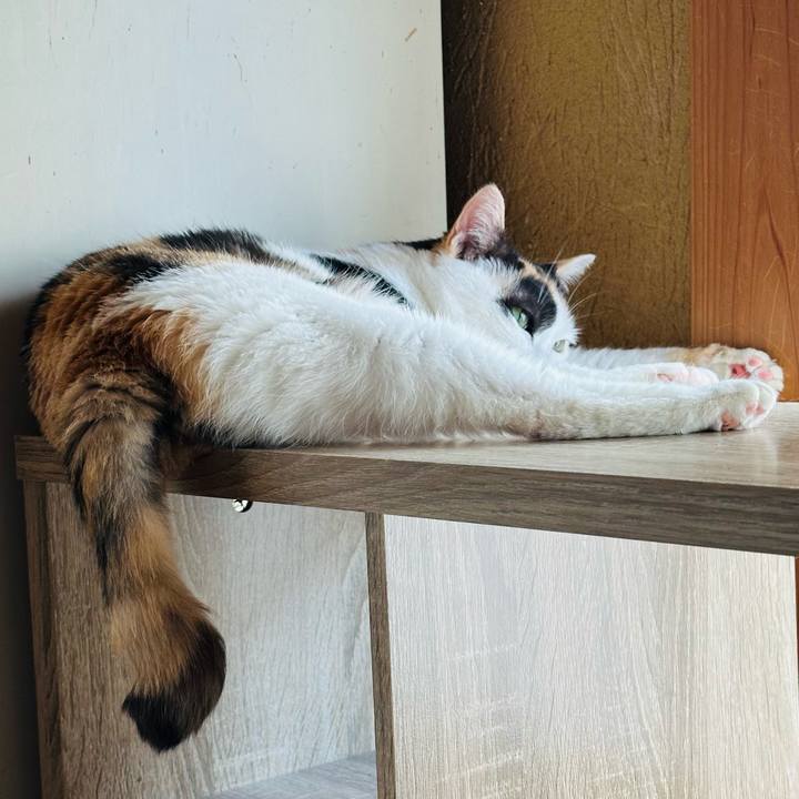 1e019436 d231 4174 b882 bfa768d7d801 1722815696631