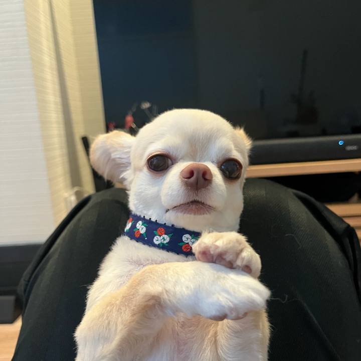 1e019903 7b5d 46d1 9447 50e46d735a3c 1755767211284