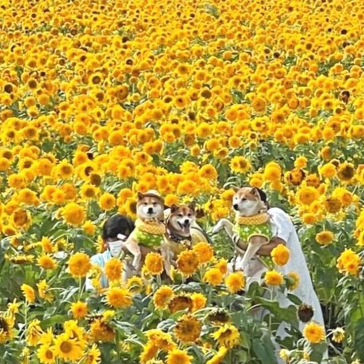 1e01d120 7b82 401f a0bf 5f6aa3329a13 1662392311396