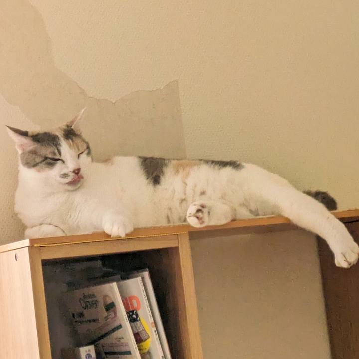 1e01db35 33ea 489b a4ef 6bc5739ff0a1 1697773014128