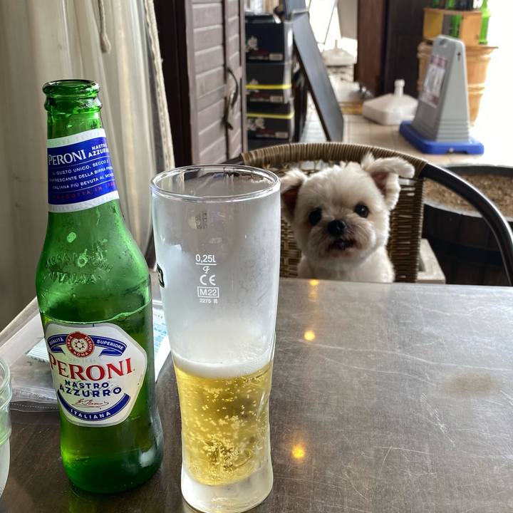 1e01e5ff a9c2 43c7 a18c 8fbd27b5c4f2 1758450358059