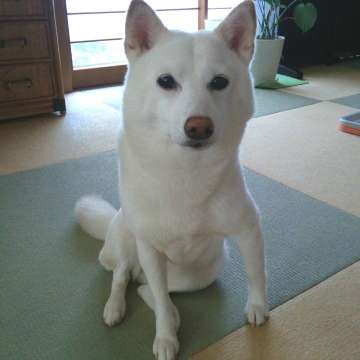 1e01ecdc 3f43 4b99 84dc 6e2379bb2dd4 1563238905585