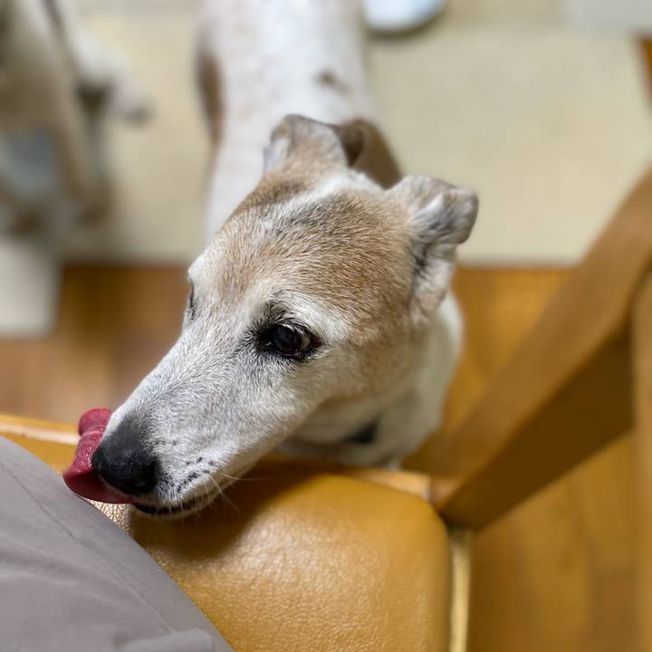 1e020c7c 4ba8 4921 b7b7 7ffc6dcf2cbf 1687126945458