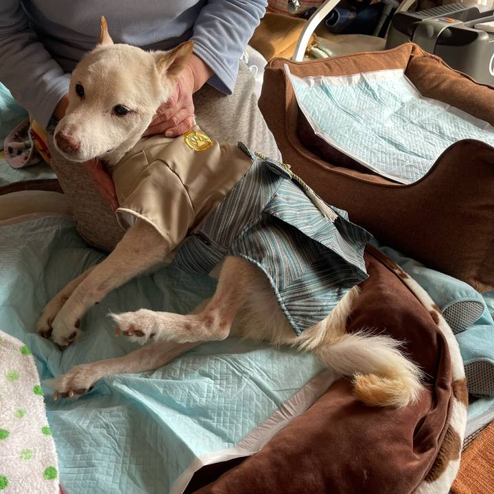 1e02106e 2e4c 4691 82dd bb8d2e35f298 1675418932616