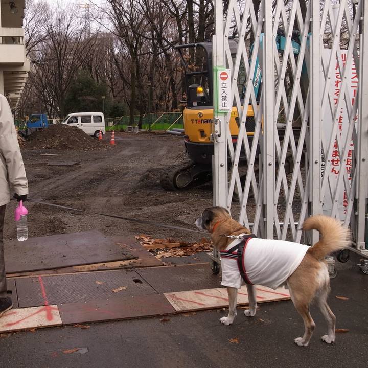 1e0223d9 59e6 47a3 9b41 67b7d354d3b1 1595723206765