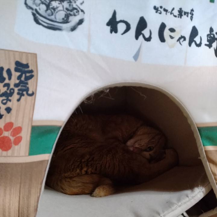 1e024267 e837 48d3 b9e3 ce3c901ca1d9 1682858191011