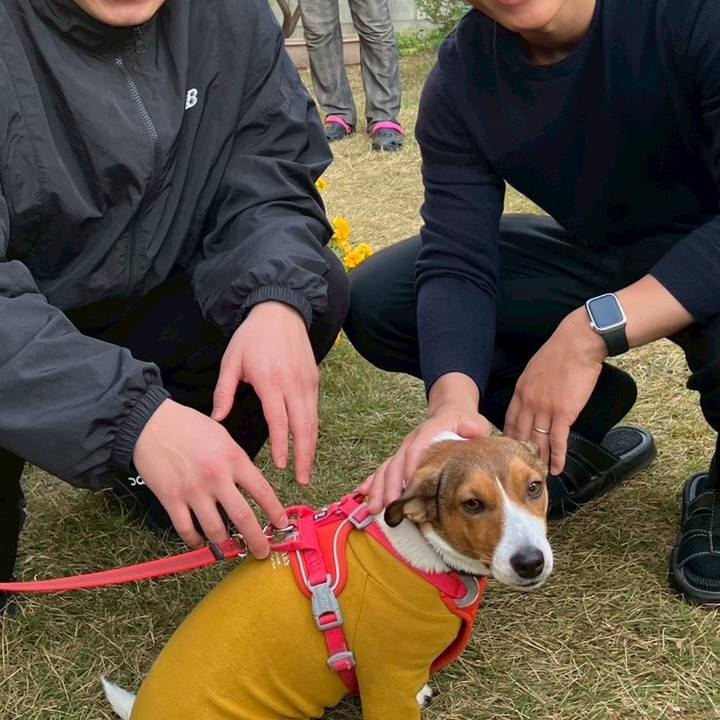 1e027b6d 930c 4564 919e e43bfd92fb86 1764683085594